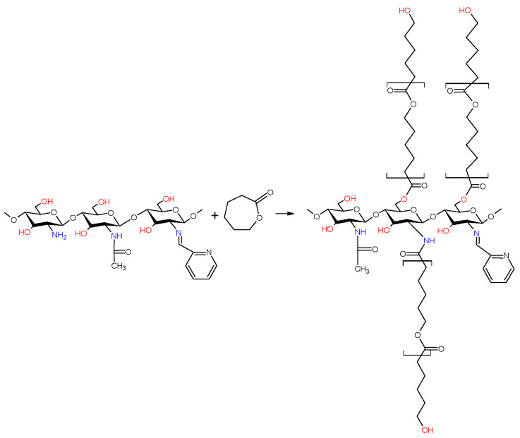 Scheme 5