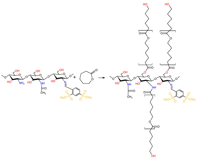 Scheme 6