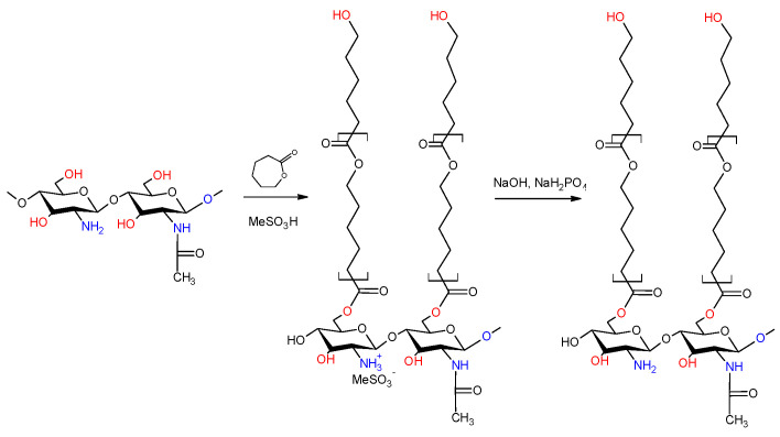 Scheme 2