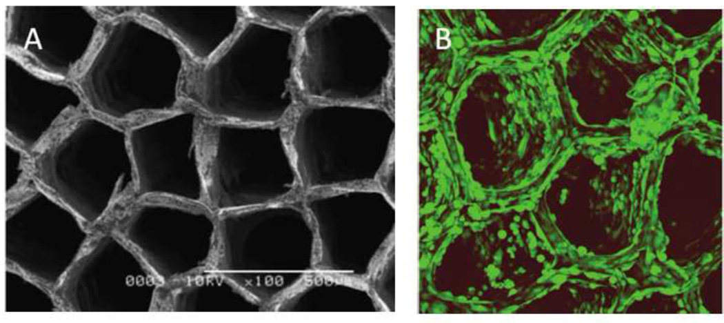 Figure 19