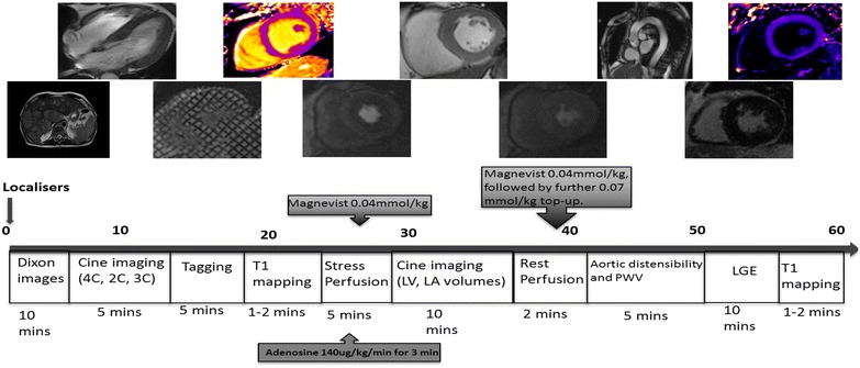 Fig. 1