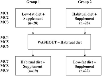 Fig. 1