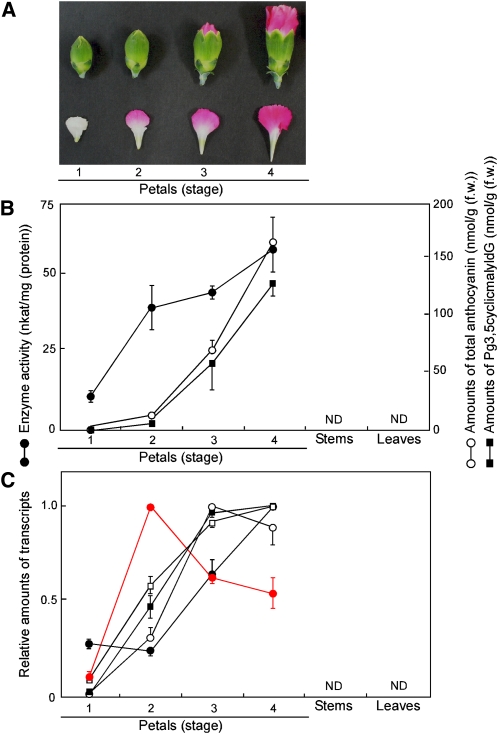 Figure 5.