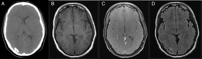 Figure 1