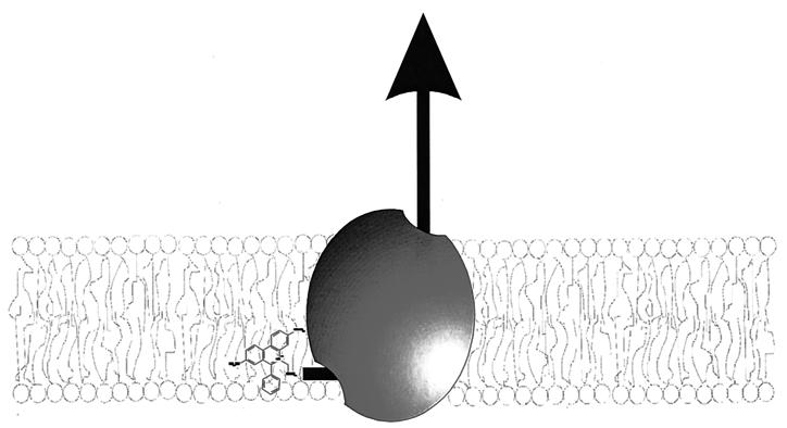 FIG. 8