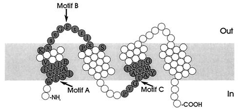 FIG. 5