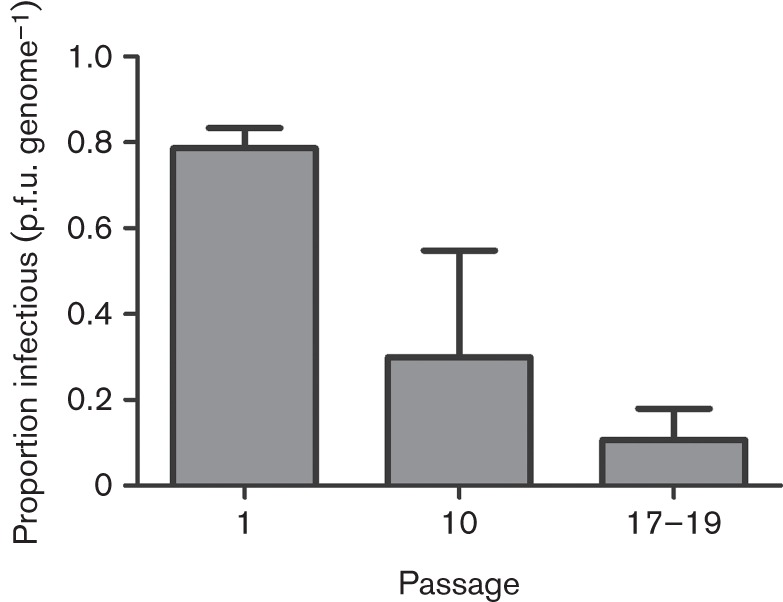 Fig. 6. 