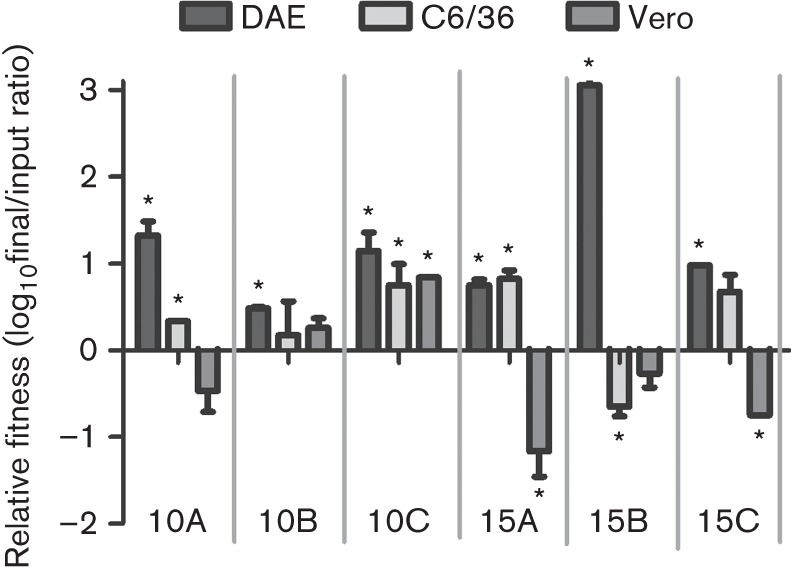 Fig. 3. 