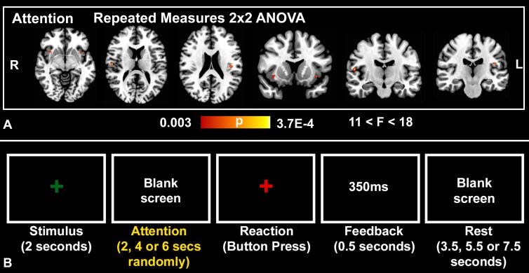 Figure 2: