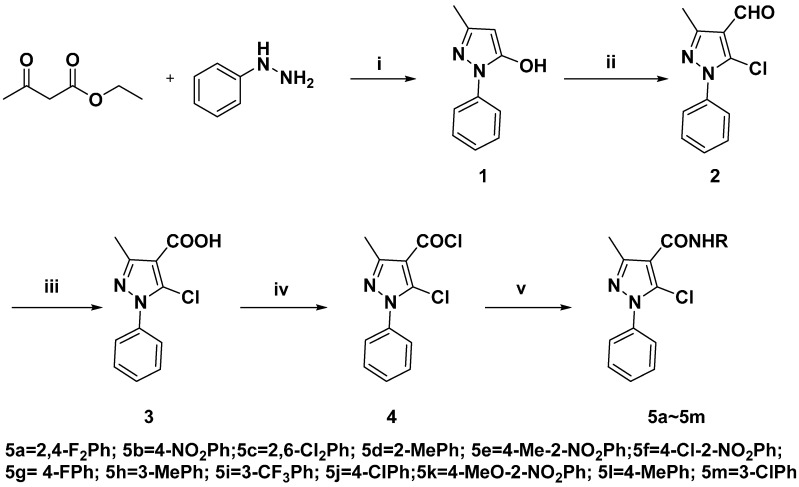 Scheme 2