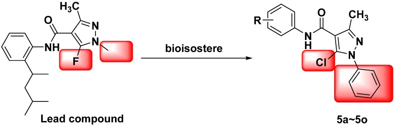 Scheme 1