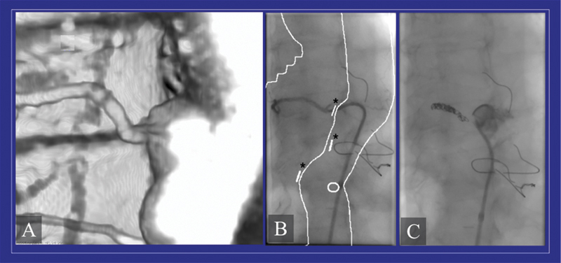 Fig. 5