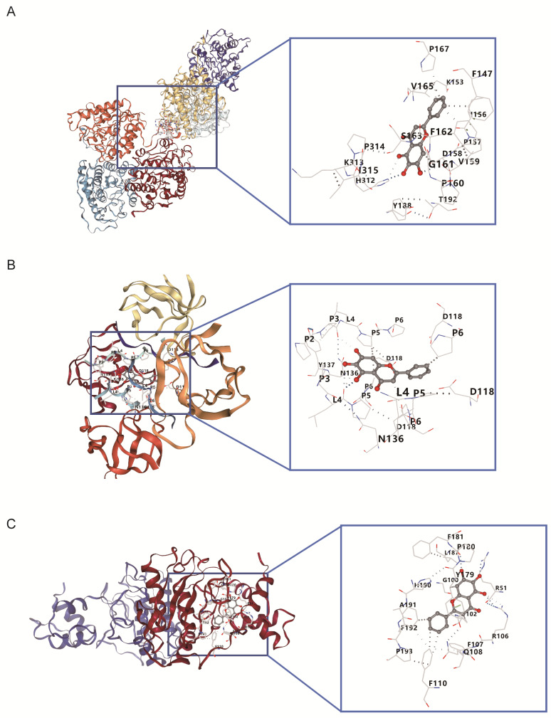 Fig. 11