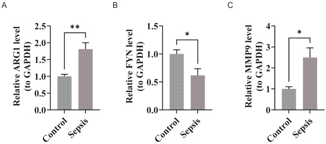Fig. 10