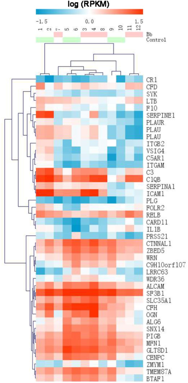 FIGURE 3