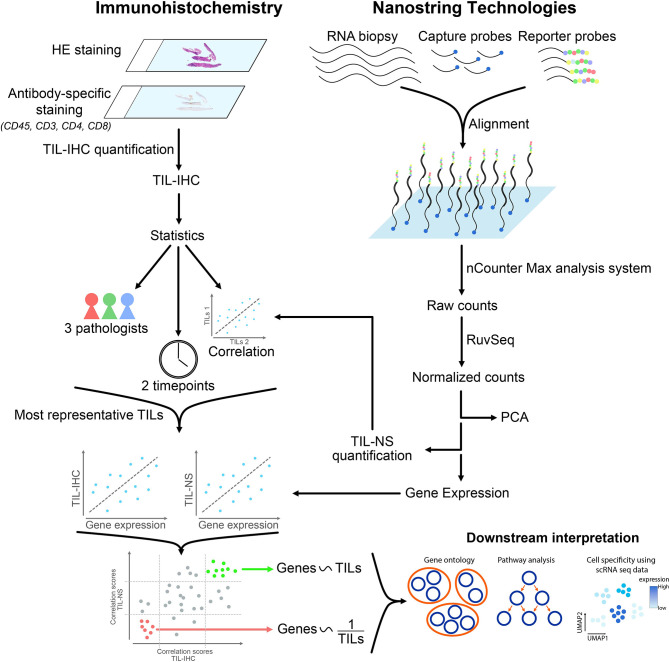 Graphical Abstract