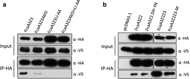 Fig. 6