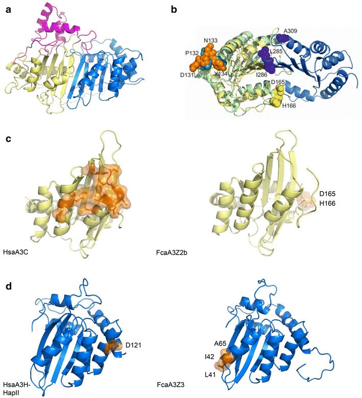 Fig. 7