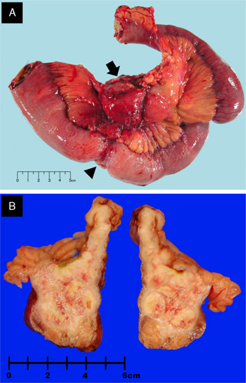 FIGURE 1.