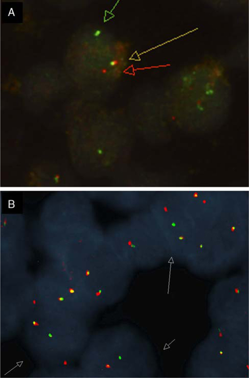 FIGURE 7.