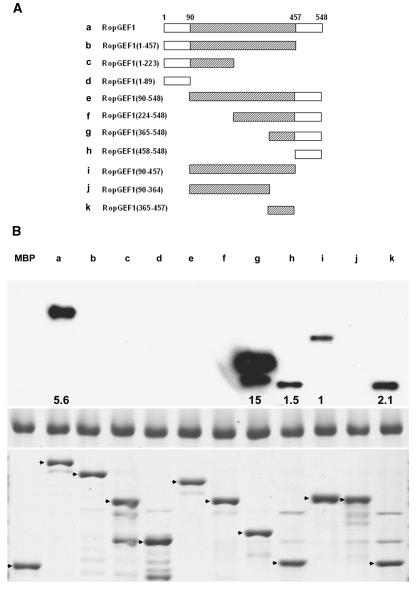 Figure 5.