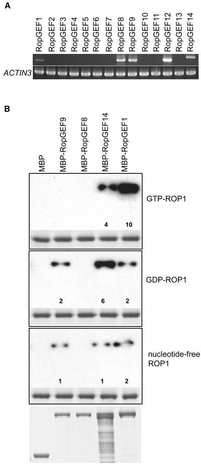 Figure 2.