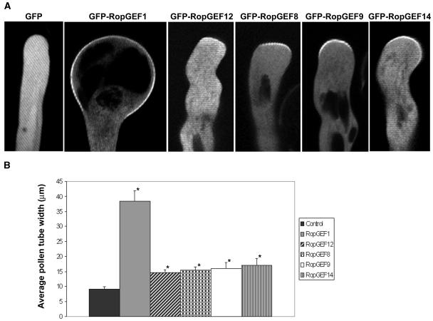 Figure 6.