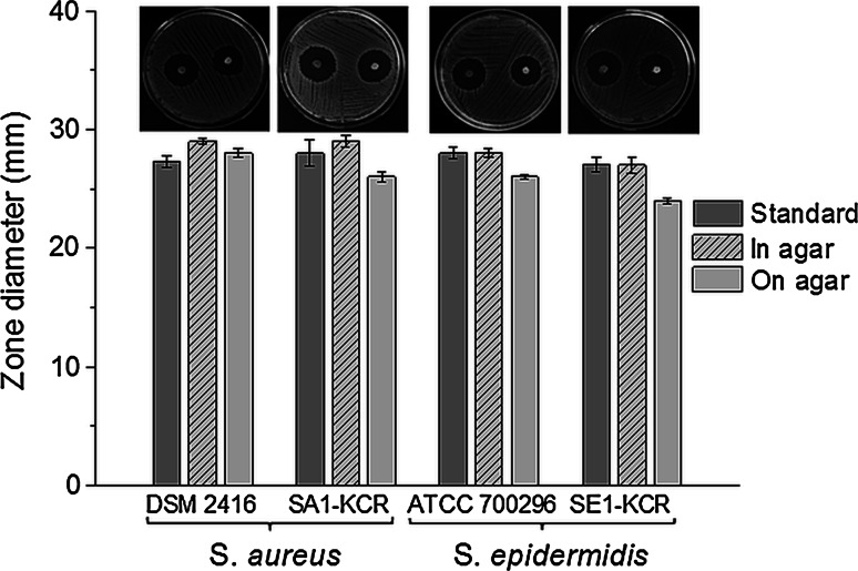 Fig. 4