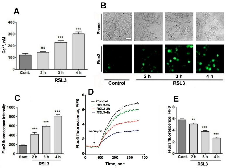 Figure 5