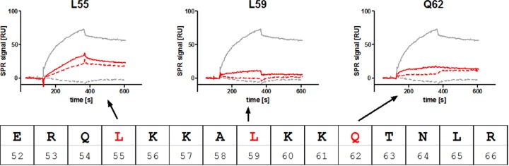 FIG 7