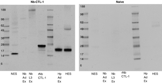 Fig. 6