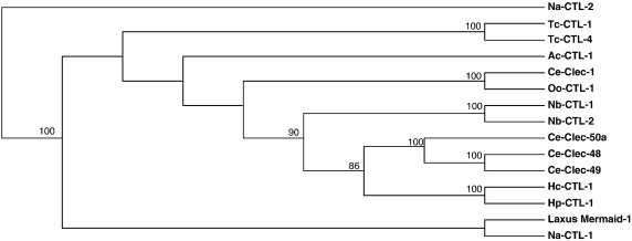 Fig. 2