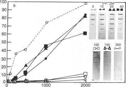 graphic file with name pnas00362-0121-a.jpg