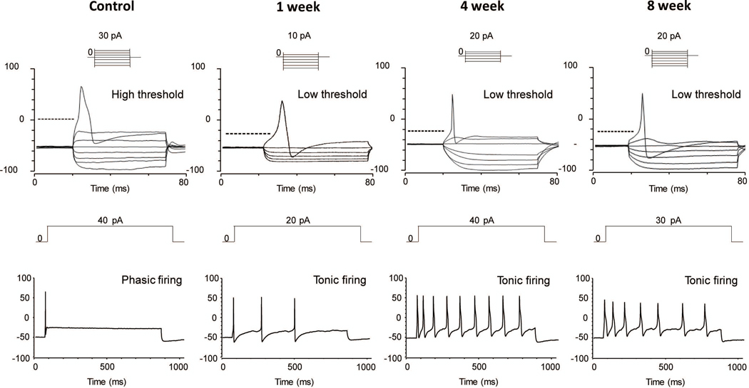 Figure 4.