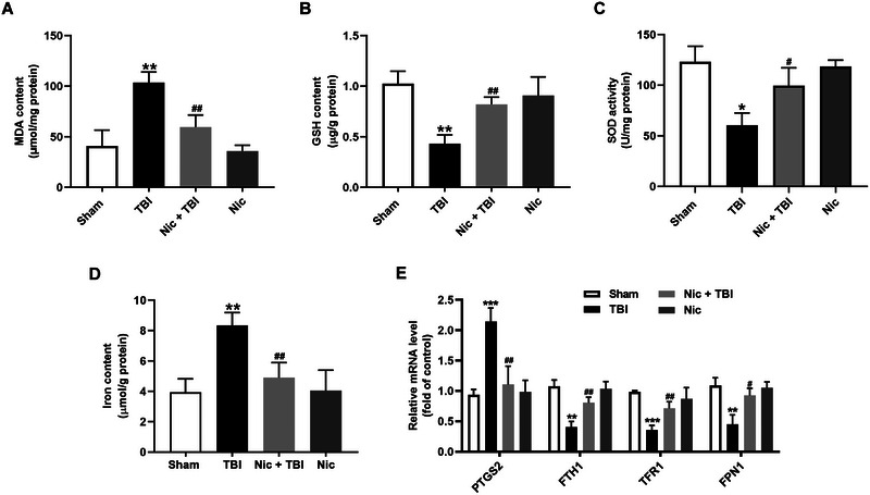 FIGURE 2