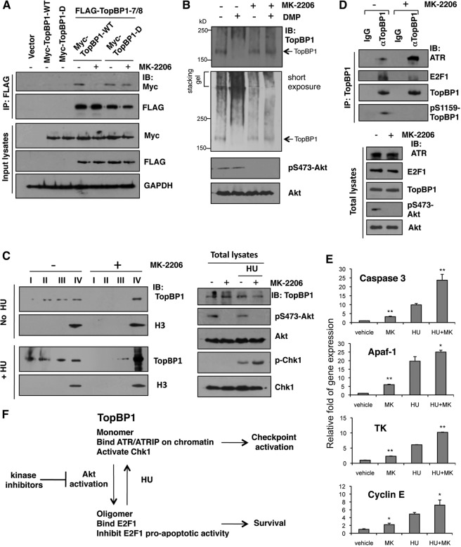 Fig 8