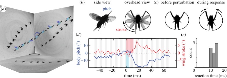 Figure 1.