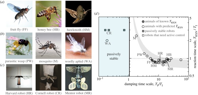 Figure 7.