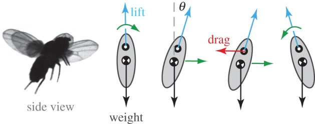 Figure 3.