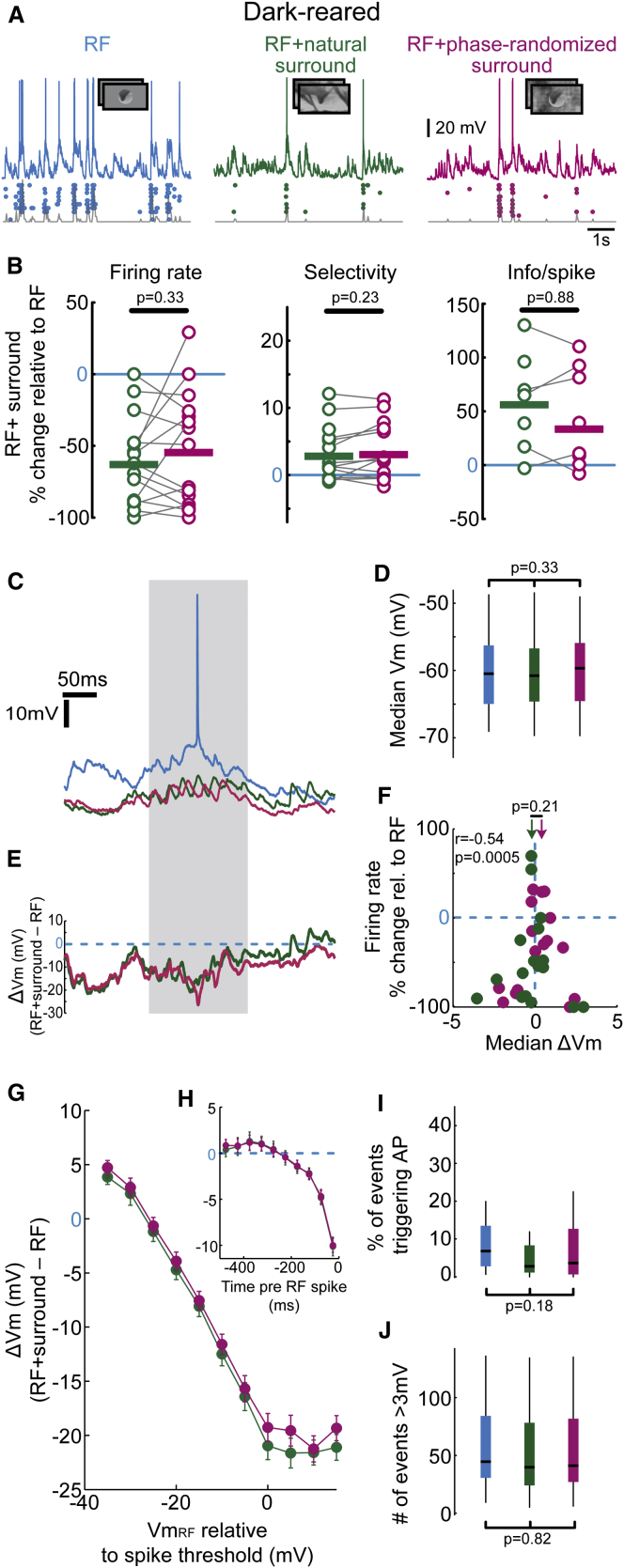 Figure 6