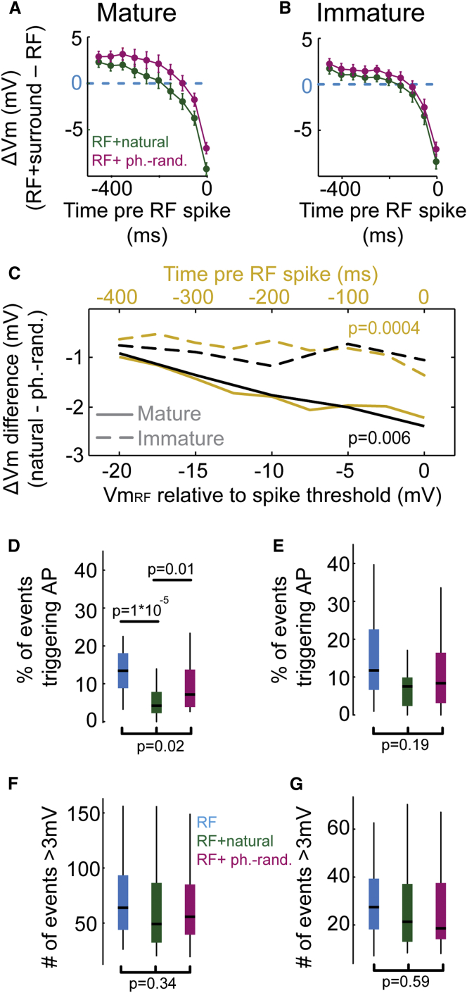 Figure 5