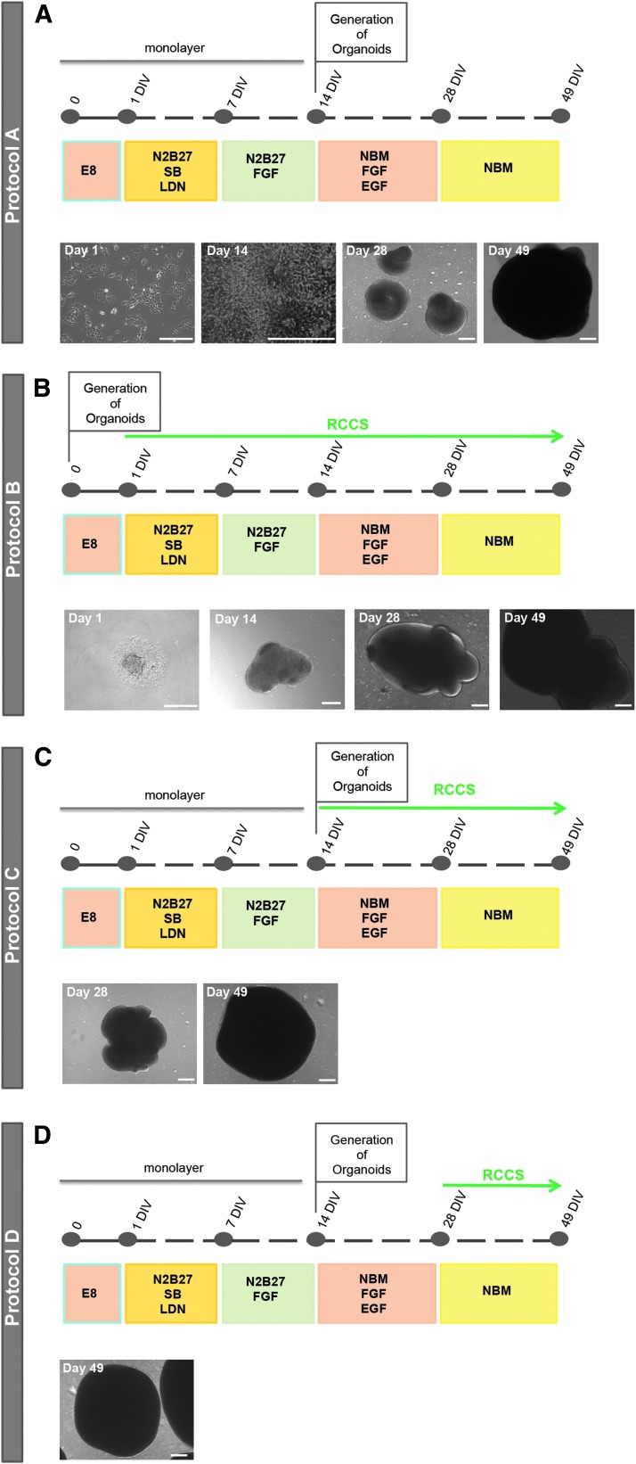 FIG. 1.