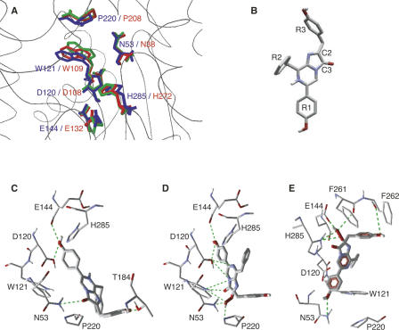 Figure 1.