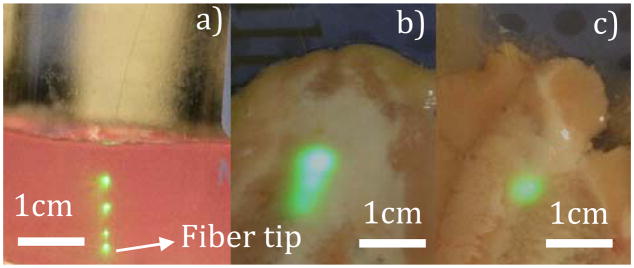 Fig. 8