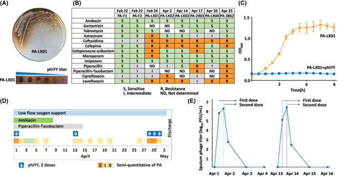 FIGURE 1