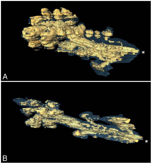 Fig. 8