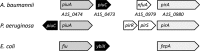 FIG 1