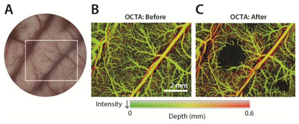 Figure 4.