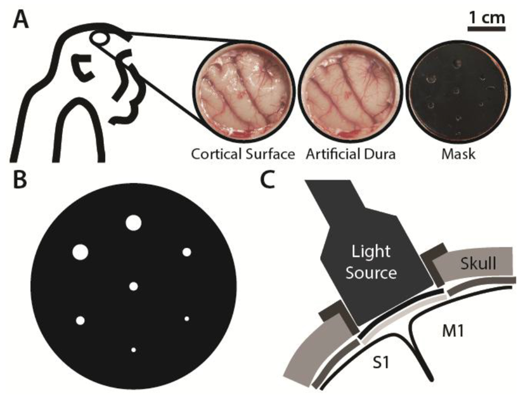 Figure 1.