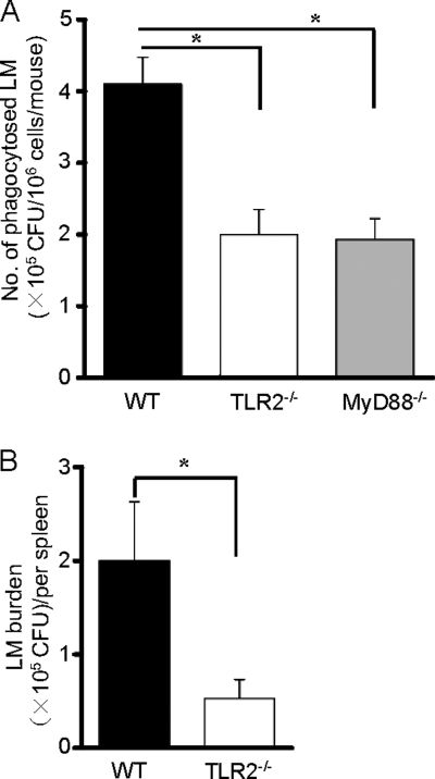 FIG. 8.